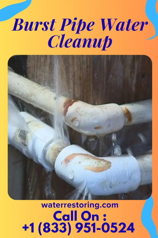Burst Pipe Water Cleanup in Portersville, PA