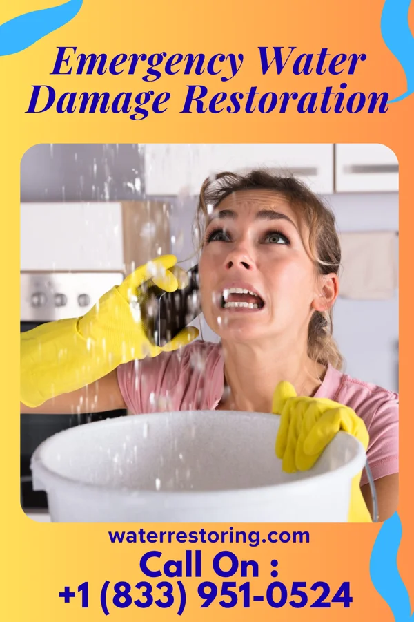 Emergency Water Damage Restoration in Portersville, PA