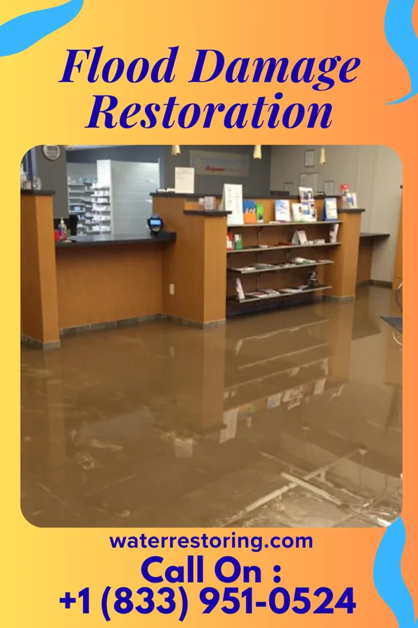 Flood Damage Restoration in Portersville, PA
