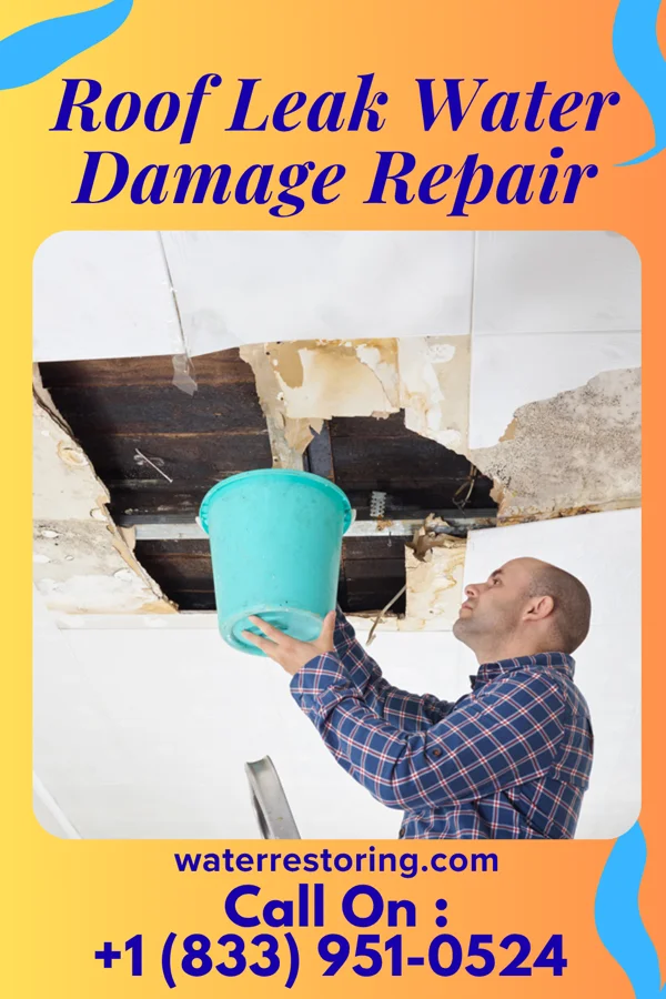 Roof Leak Water Damage Repair in Portersville, PA