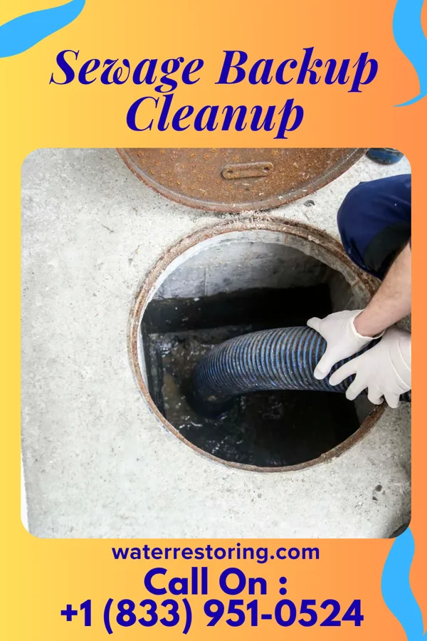 Sewage Backup Cleanup in Portersville, PA