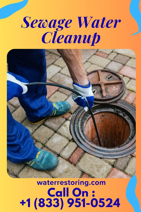 Sewage Water Cleanup in Portersville, PA